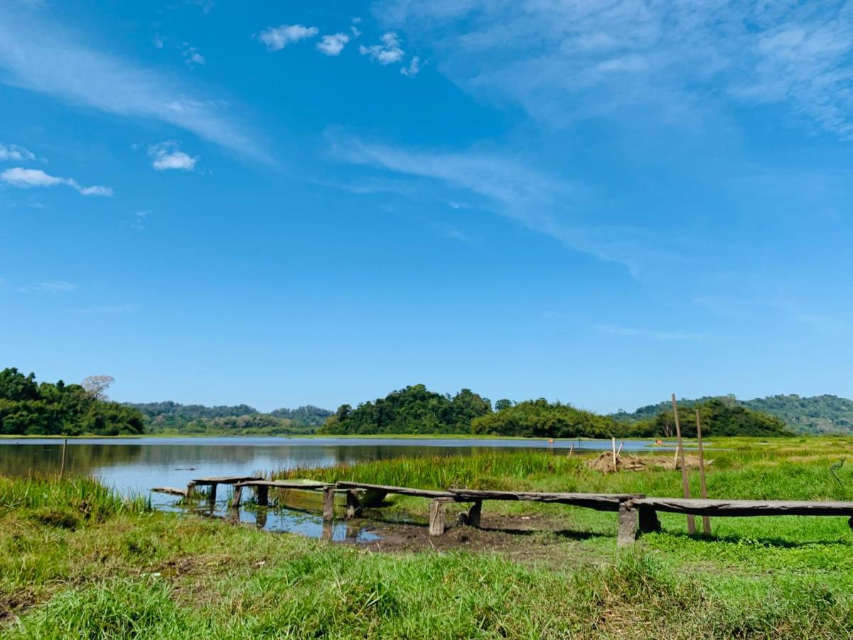 Gibbon Singing Home Stay Quan Tom ภายนอก รูปภาพ