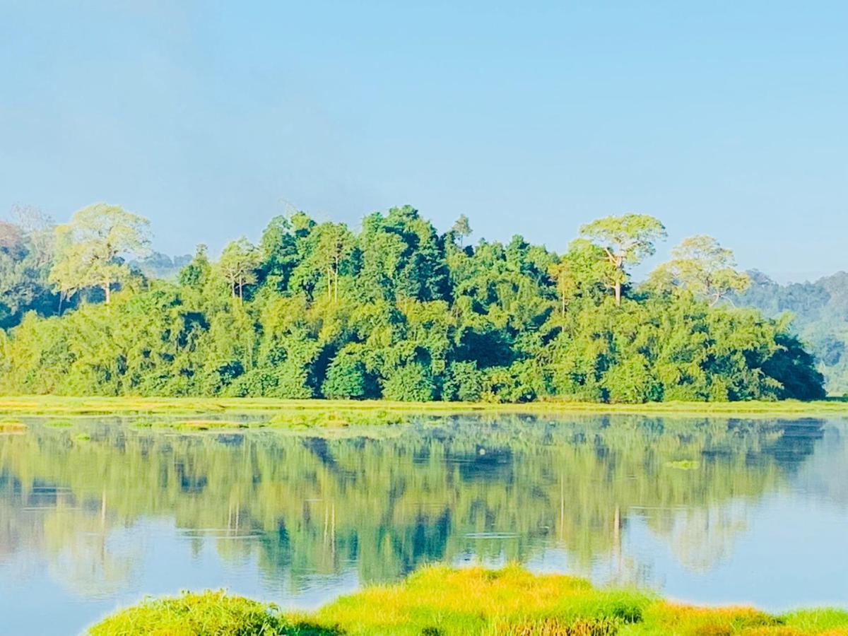 Gibbon Singing Home Stay Quan Tom ภายนอก รูปภาพ