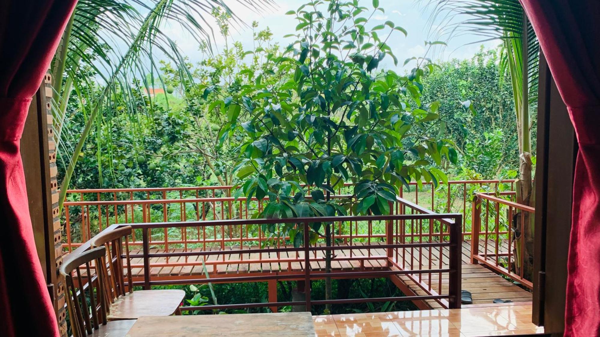 Gibbon Singing Home Stay Quan Tom ภายนอก รูปภาพ