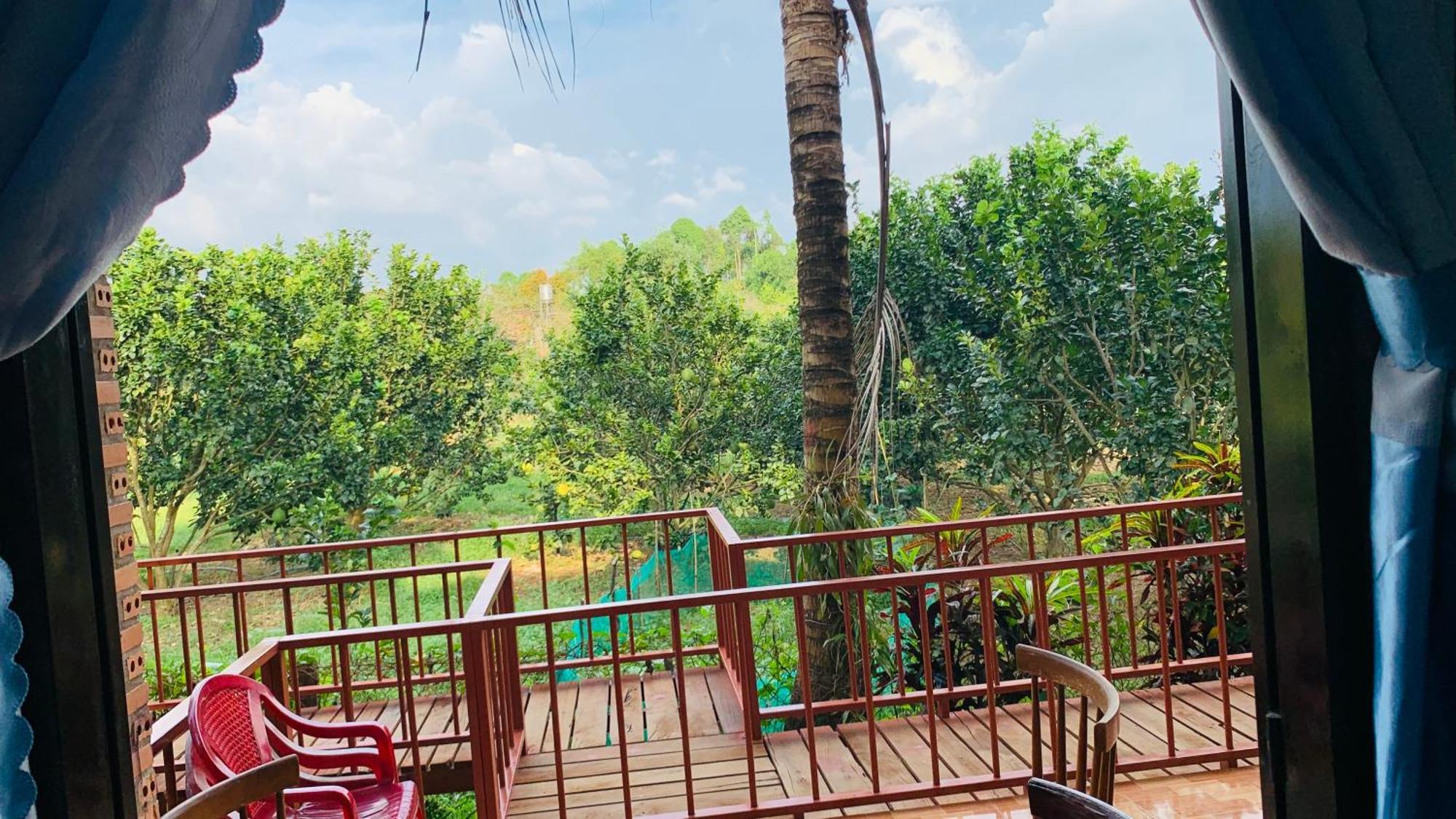 Gibbon Singing Home Stay Quan Tom ภายนอก รูปภาพ
