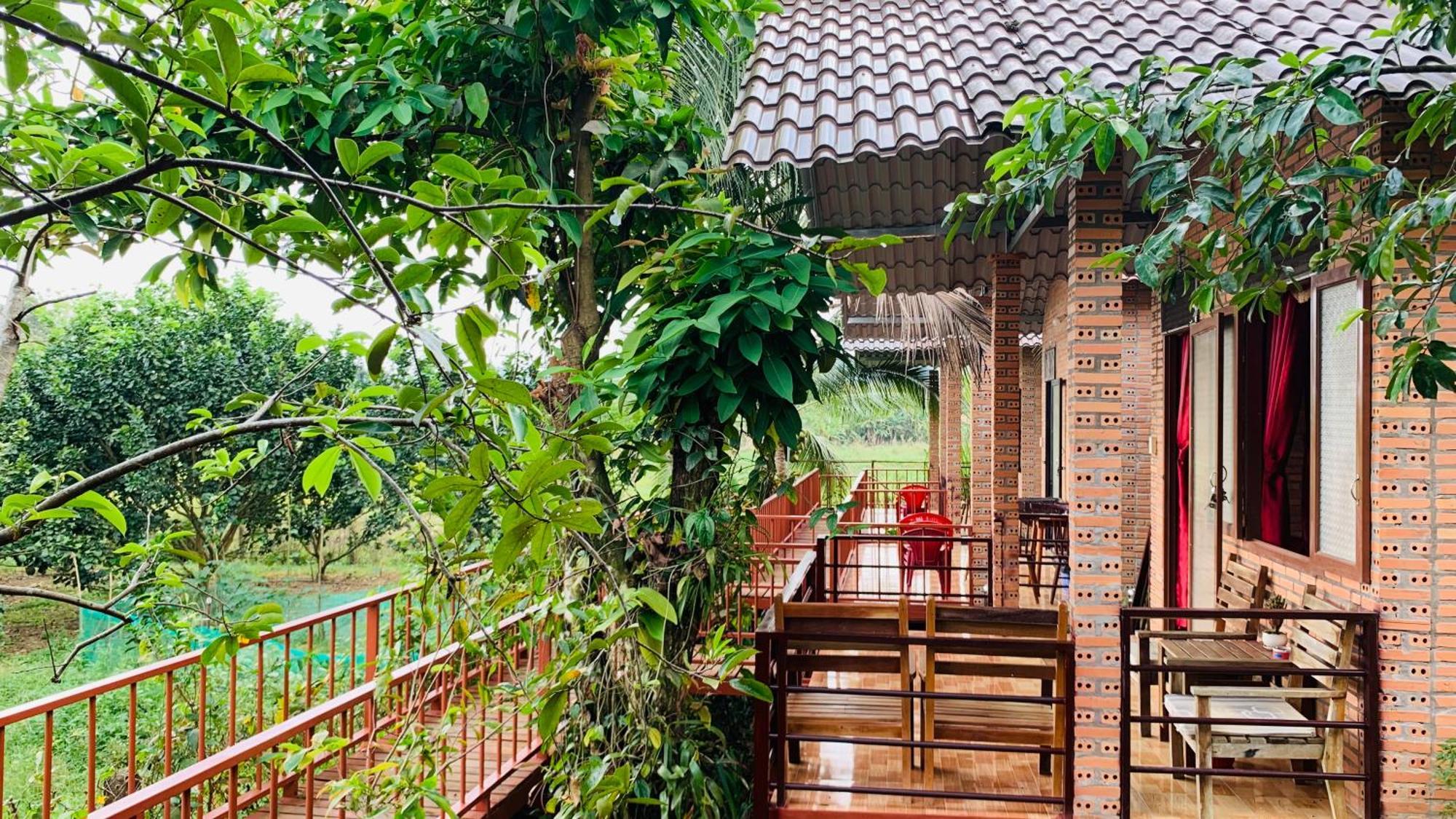 Gibbon Singing Home Stay Quan Tom ภายนอก รูปภาพ