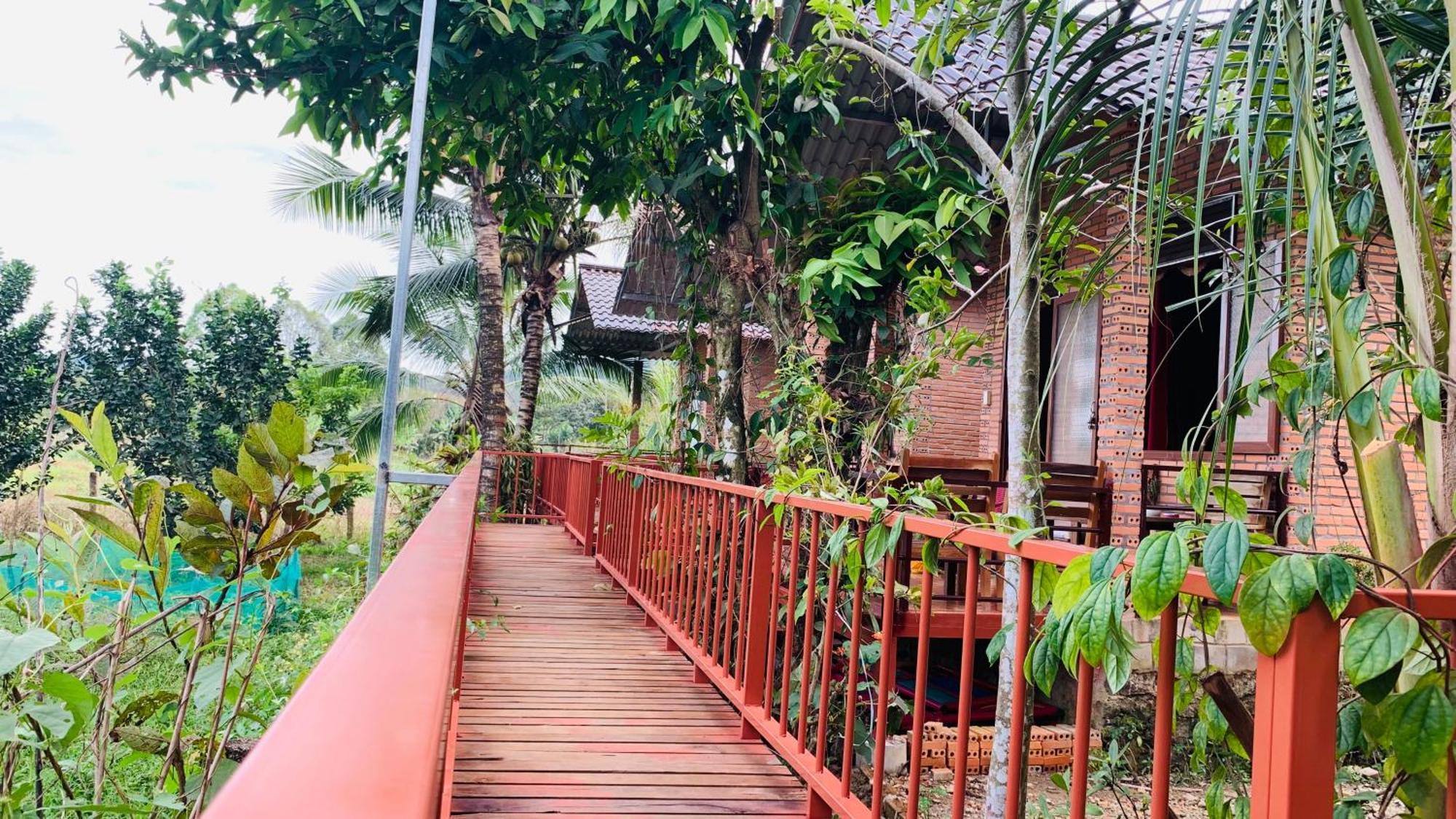 Gibbon Singing Home Stay Quan Tom ภายนอก รูปภาพ