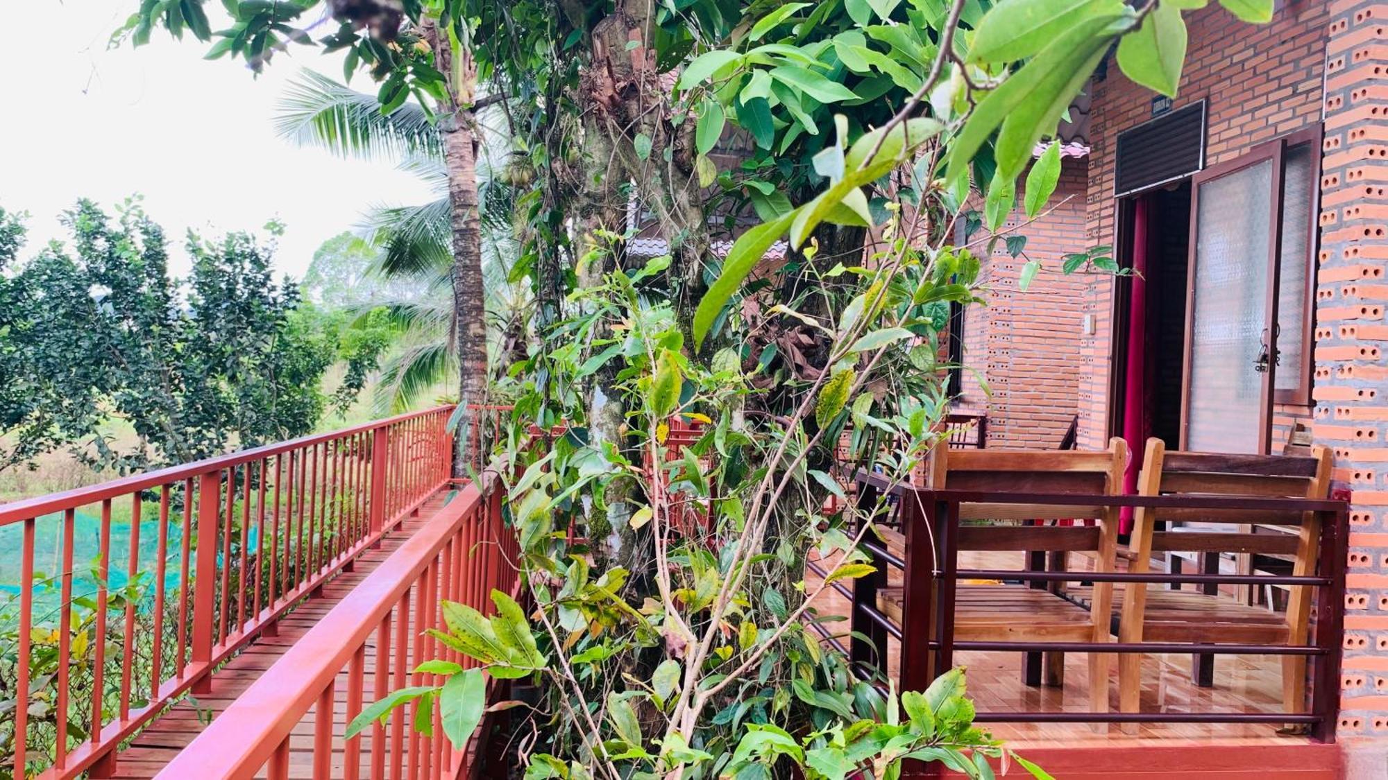 Gibbon Singing Home Stay Quan Tom ภายนอก รูปภาพ