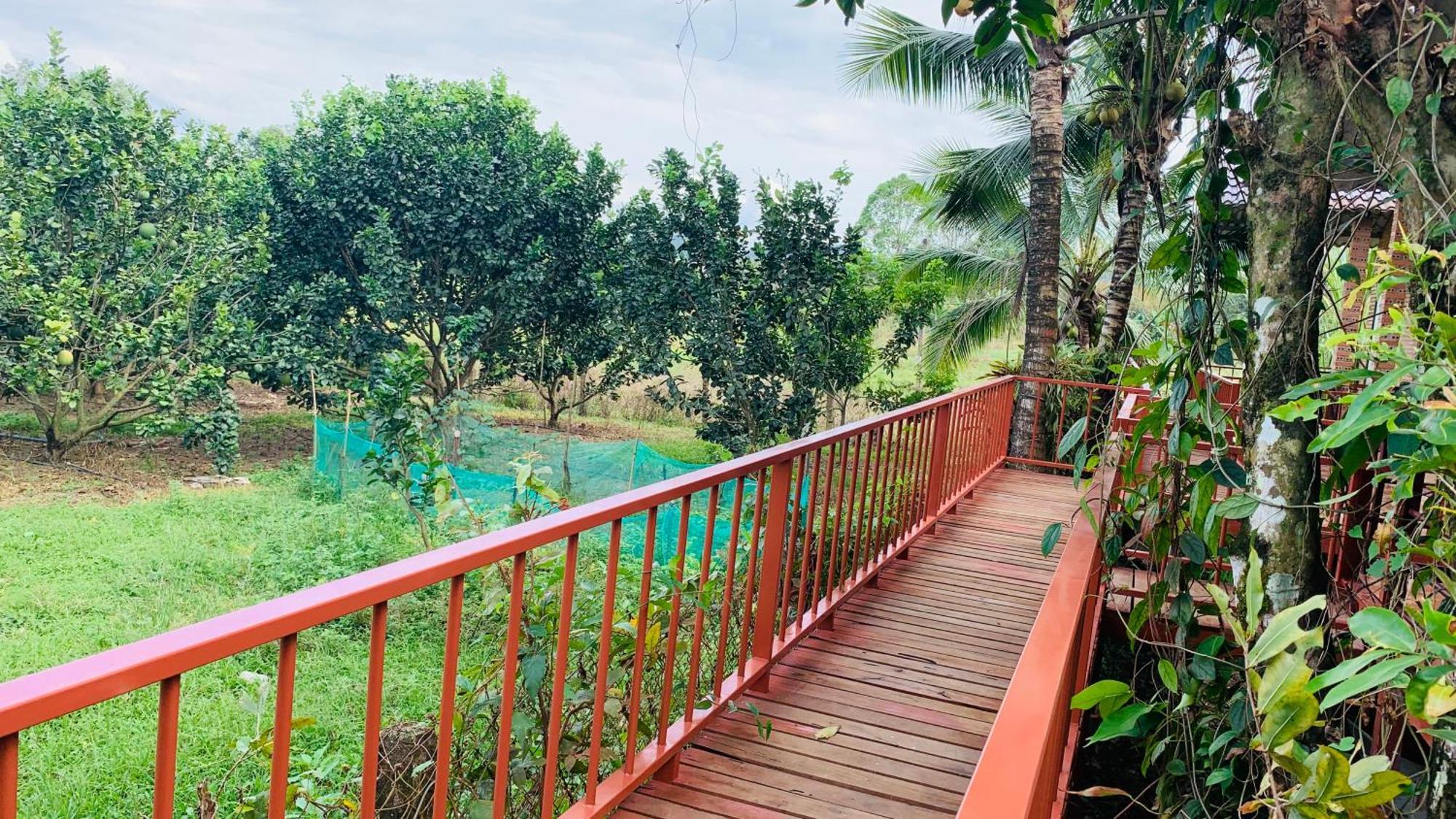 Gibbon Singing Home Stay Quan Tom ภายนอก รูปภาพ