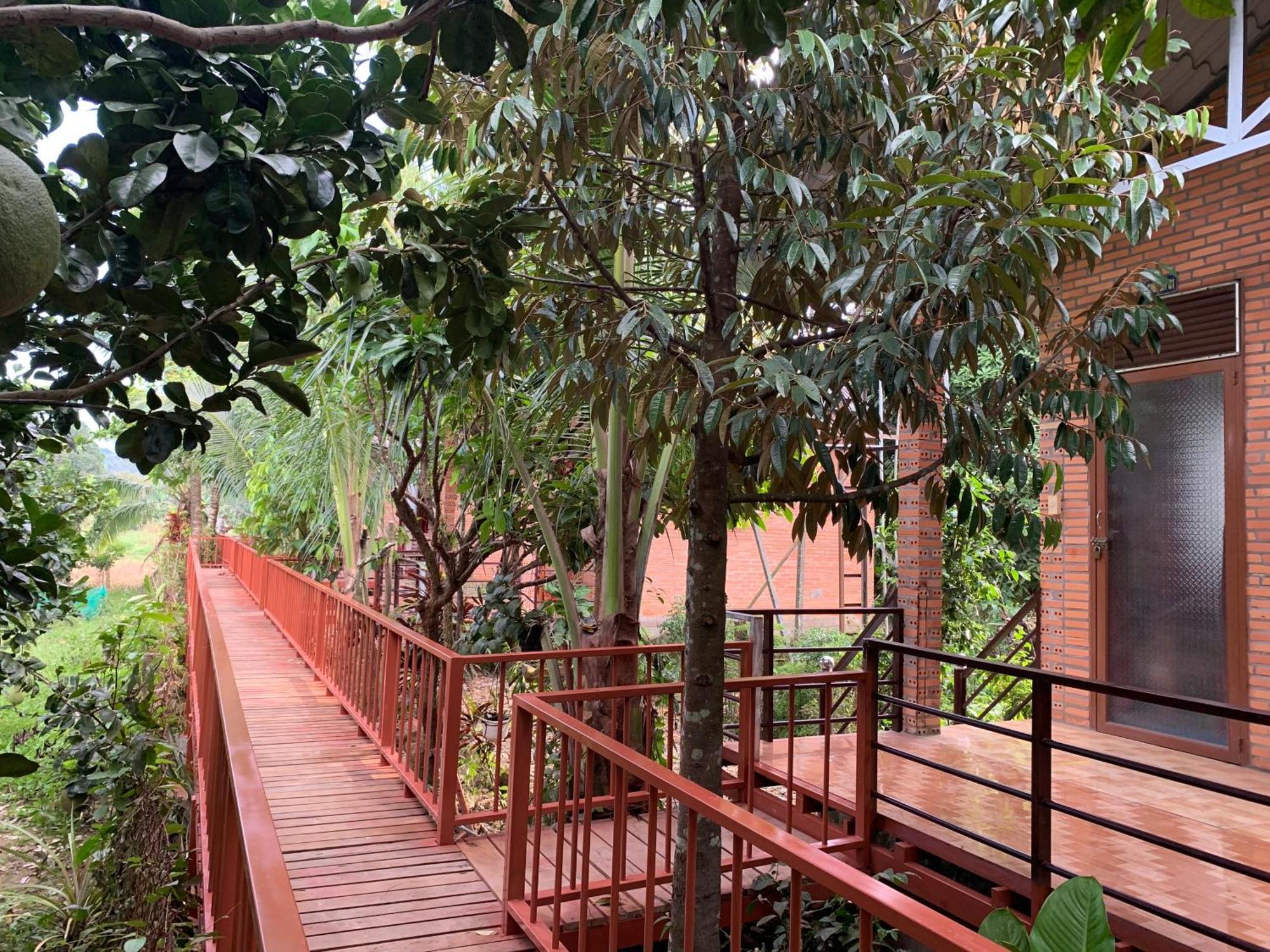 Gibbon Singing Home Stay Quan Tom ภายนอก รูปภาพ